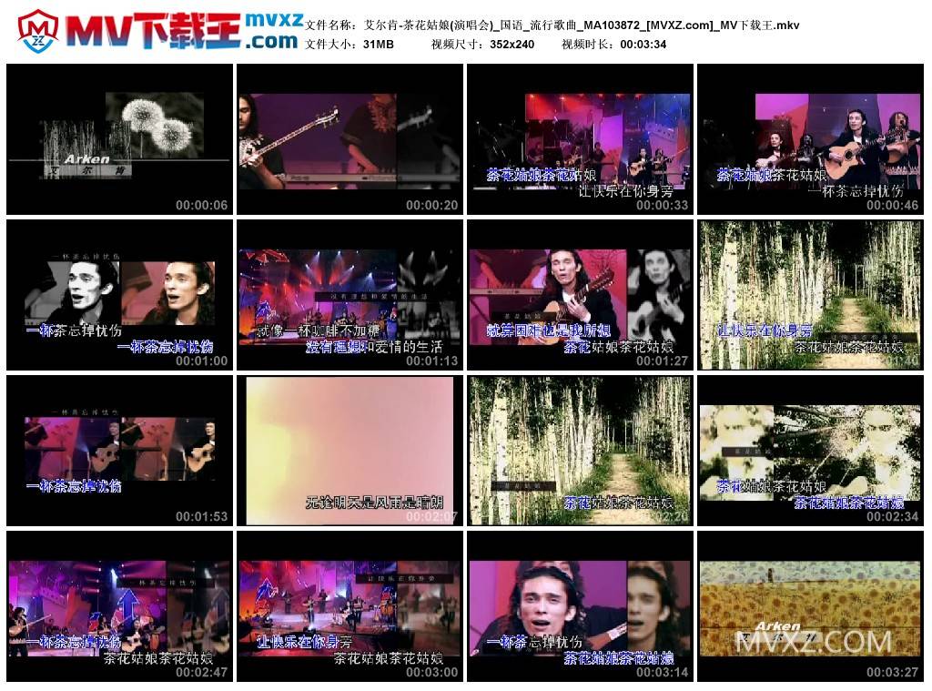 艾尔肯-茶花姑娘(演唱会)_国语_流行歌曲_MA103872